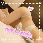 ヒメ日記 2026/02/15 11:01 投稿 さよ 奥様の実話 谷九店