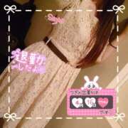 さよ 取り締まり 奥様の実話 谷九店