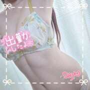 ヒメ日記 2026/04/22 10:12 投稿 さよ 奥様の実話 谷九店