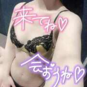 ヒメ日記 2024/12/26 13:51 投稿 ぱる 新宿サンキュー