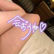 ヒメ日記 2025/02/01 23:30 投稿 ぱる 新宿サンキュー