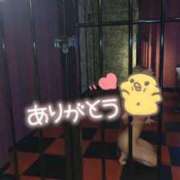 ヒメ日記 2026/08/05 21:16 投稿 ぱる 新宿サンキュー