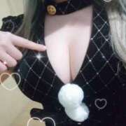 ヒメ日記 2024/12/12 06:01 投稿 五条まみ 華椿