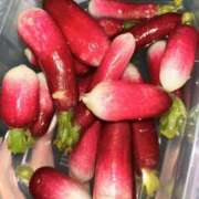 ヒメ日記 2025/04/12 00:44 投稿 いのり・SP やまとなでしこ桜組