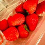 ヒメ日記 2025/04/25 03:28 投稿 いのり・SP やまとなでしこ桜組