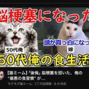 ヒメ日記 2026/07/26 18:03 投稿 いのり・SP やまとなでしこ桜組