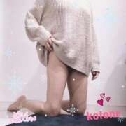 ヒメ日記 2024/12/25 08:44 投稿 ことね consolation