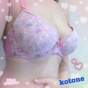 ヒメ日記 2025/01/04 08:56 投稿 ことね consolation