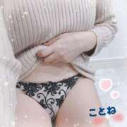 ヒメ日記 2025/01/19 08:58 投稿 ことね consolation