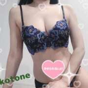 ヒメ日記 2025/03/14 08:42 投稿 ことね consolation