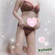 ヒメ日記 2025/03/16 08:25 投稿 ことね consolation