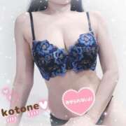 ヒメ日記 2025/03/22 08:59 投稿 ことね consolation