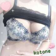 ヒメ日記 2025/04/02 08:51 投稿 ことね consolation