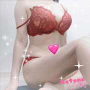 ヒメ日記 2025/04/07 08:31 投稿 ことね consolation