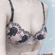 ヒメ日記 2025/04/08 08:31 投稿 ことね consolation