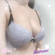 ヒメ日記 2025/04/12 08:30 投稿 ことね consolation