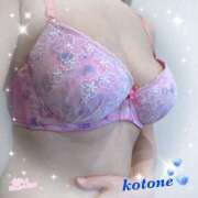 ヒメ日記 2025/04/16 08:30 投稿 ことね consolation