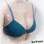 ヒメ日記 2025/04/21 08:24 投稿 ことね consolation