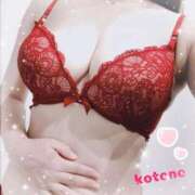 ヒメ日記 2025/04/25 08:56 投稿 ことね consolation