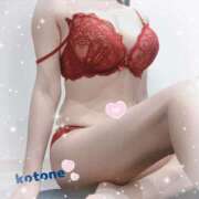 ヒメ日記 2025/05/21 08:36 投稿 ことね consolation