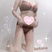 ヒメ日記 2025/05/28 08:42 投稿 ことね consolation