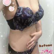 ヒメ日記 2025/06/07 08:35 投稿 ことね consolation