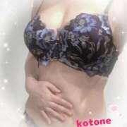 ヒメ日記 2025/06/17 08:26 投稿 ことね consolation