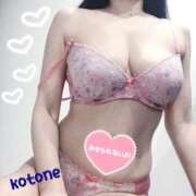 ヒメ日記 2025/06/19 08:51 投稿 ことね consolation