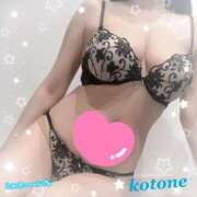 ヒメ日記 2025/06/20 08:53 投稿 ことね consolation