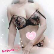 ヒメ日記 2025/06/23 08:45 投稿 ことね consolation