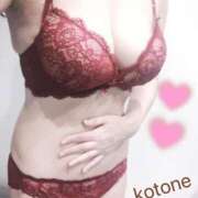 ヒメ日記 2025/07/07 08:42 投稿 ことね consolation