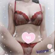 ヒメ日記 2025/07/09 08:41 投稿 ことね consolation