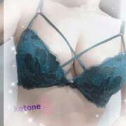 ヒメ日記 2025/07/11 08:35 投稿 ことね consolation