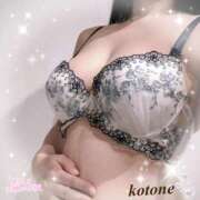 ヒメ日記 2025/07/12 08:13 投稿 ことね consolation