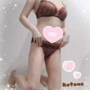 ヒメ日記 2025/07/16 08:43 投稿 ことね consolation