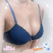 ヒメ日記 2025/07/24 08:47 投稿 ことね consolation