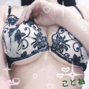 ヒメ日記 2025/08/03 08:41 投稿 ことね consolation