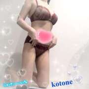 ヒメ日記 2025/08/24 08:15 投稿 ことね consolation