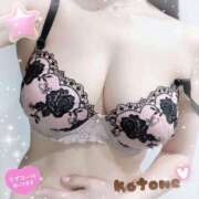 ヒメ日記 2025/10/09 08:37 投稿 ことね consolation