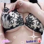 ヒメ日記 2025/10/11 08:43 投稿 ことね consolation