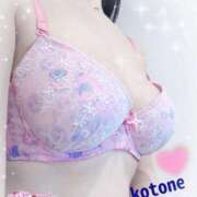 ヒメ日記 2025/10/19 08:46 投稿 ことね consolation