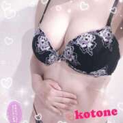 ヒメ日記 2025/10/23 08:42 投稿 ことね consolation