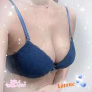 ヒメ日記 2025/10/25 08:18 投稿 ことね consolation