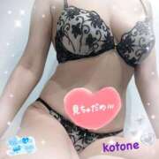 ヒメ日記 2025/10/26 08:22 投稿 ことね consolation