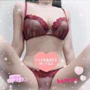 ヒメ日記 2025/11/13 08:48 投稿 ことね consolation