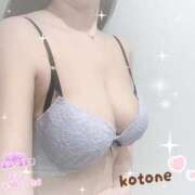 ヒメ日記 2025/11/14 08:48 投稿 ことね consolation