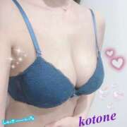 ヒメ日記 2025/11/16 08:51 投稿 ことね consolation