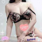 ヒメ日記 2025/11/18 08:51 投稿 ことね consolation