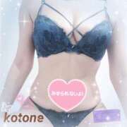 ヒメ日記 2025/11/20 08:42 投稿 ことね consolation