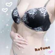 ヒメ日記 2025/11/22 08:48 投稿 ことね consolation